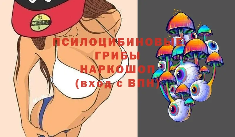 Псилоцибиновые грибы Cubensis  кракен маркетплейс  Порхов 